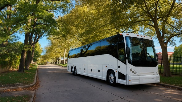 hollywood bachelor and bachelorette party bus rentals